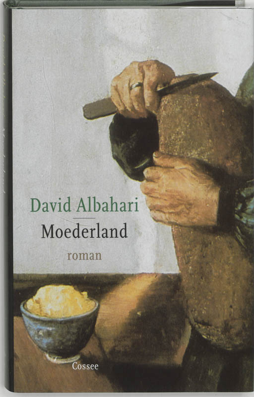 Omslag van boek: Moederland