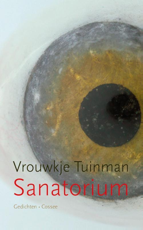 Omslag van boek: Sanatorium