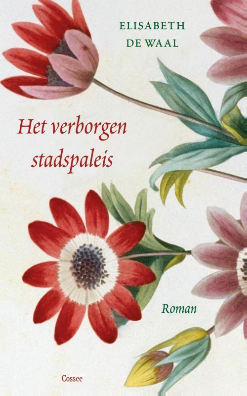 Omslag van boek: Het verborgen stadspaleis