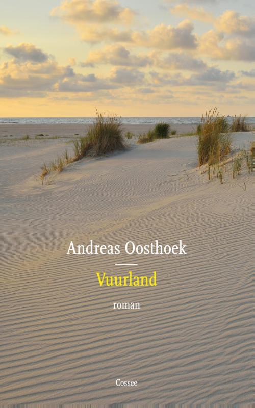 Omslag van boek: Vuurland