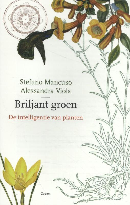 Omslag van boek: Briljant groen