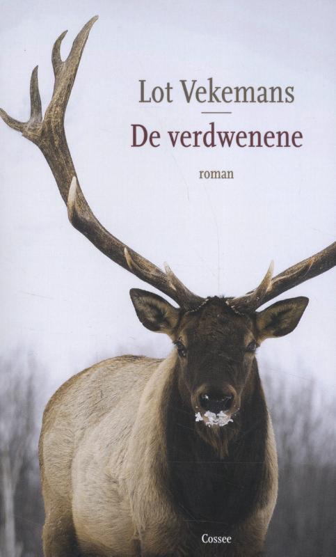 Omslag van boek: De verdwenene