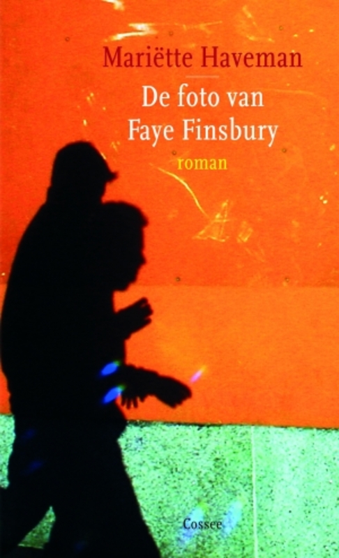 Bookcover: Faye Finsbury's Photo